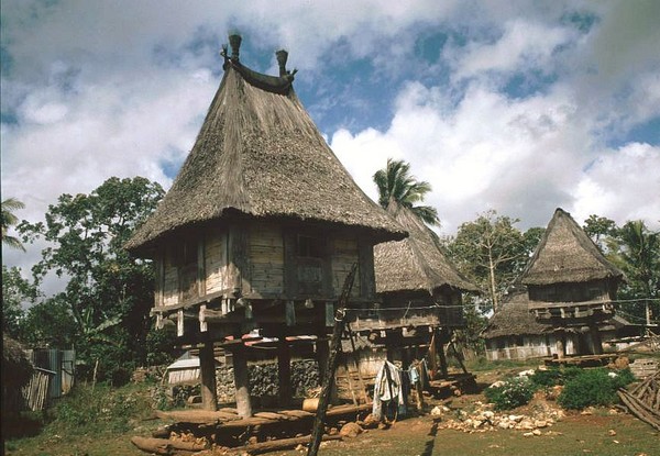 Une maison traditionnelle du Timor