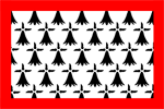 Le drapeau a pour origine les armes du Limousin, misent en bannire. Concrtement, le blason du Limousin a t appliqu sur toute la surface. Le drapeau est ainsi compos de l'hermine  bordure rouge. Ces symboles proviennent de la domination bretonne sur cette rgion par le pass.
